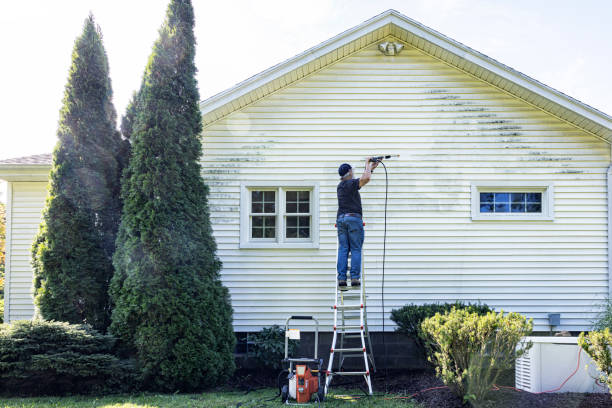 Best Patio and Deck Pressure Washing  in Third Lake, IL